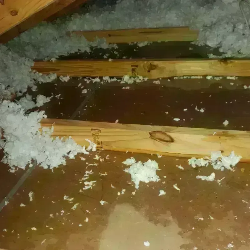 Attic Water Damage in Minden, NV